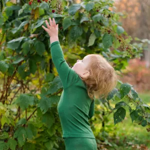 Green Wool Silk Long Sleeve Under Shirt